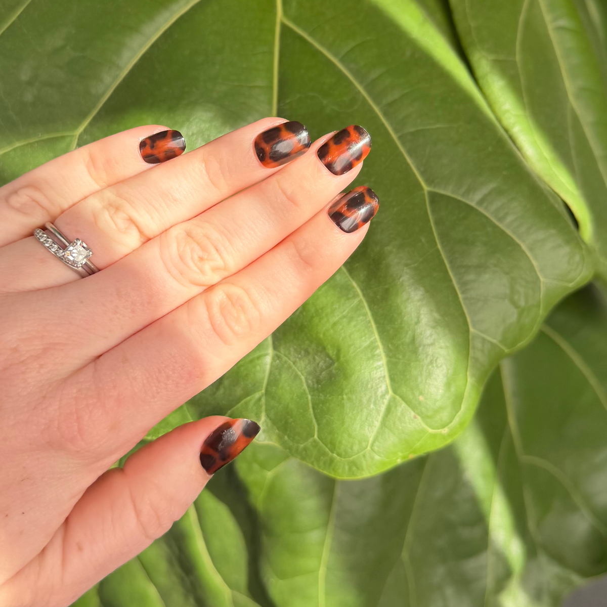 Amber | Extra Short Squoval